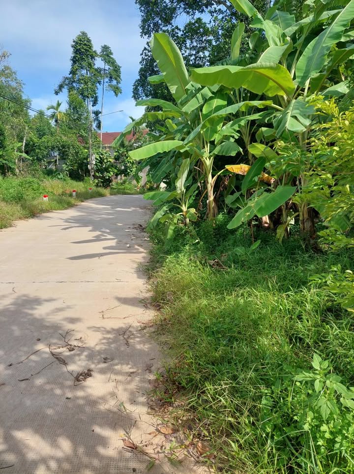 Đất Quảng Tế Huế 170m² giá 2 tỷ - Cơ hội đầu tư tuyệt vời!