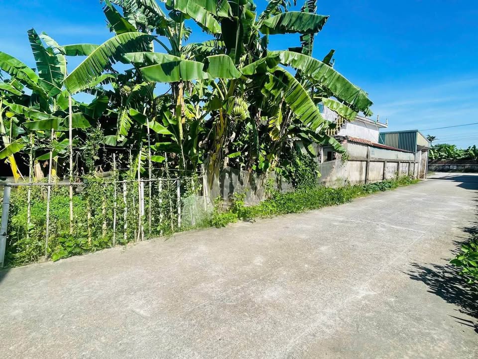 Đất nền xã Đông Trung, Tiền Hải 101m² giá 700 triệu - Sổ đỏ chính chủ, vị trí đẹp!