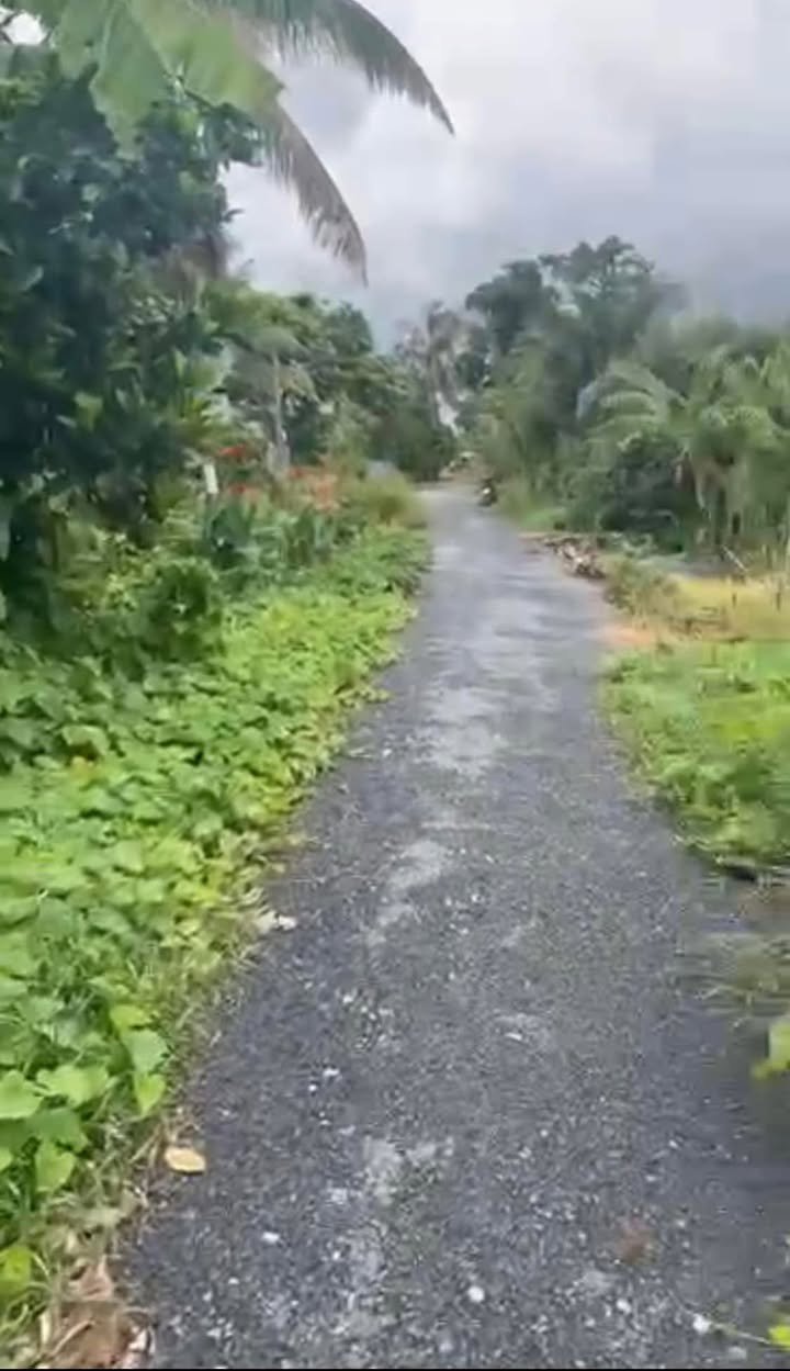 Đất nền mặt tiền đường nhựa xã Hậu Mỹ Bắc A 380m² giá 45 triệu/m - Đầu tư sinh lời ngay!