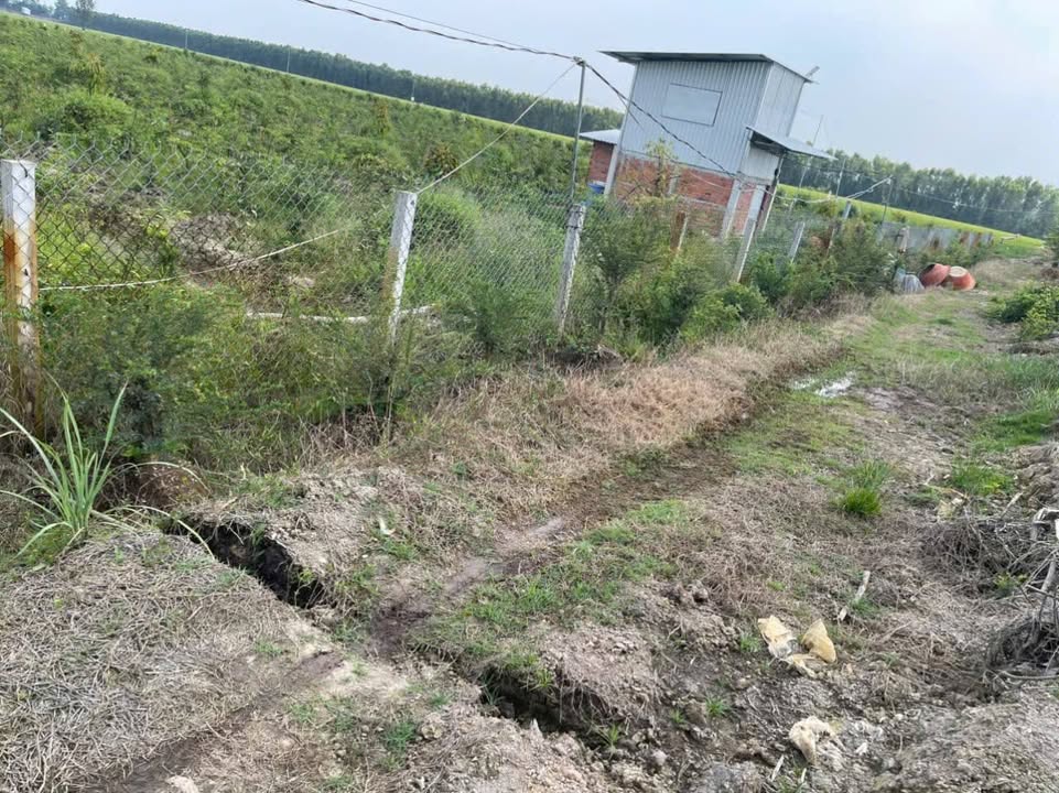 Đất vườn 7000m² Tân Hòa Tây, Tân Phước giá 2.2 tỷ - Đầu tư sinh lời hấp dẫn!