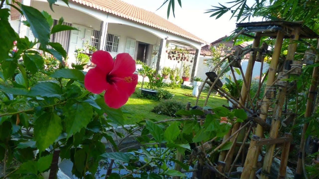 Biệt thự sân vườn Chánh Nghĩa 400m² chỉ 15 triệu - Full nội thất sang trọng!