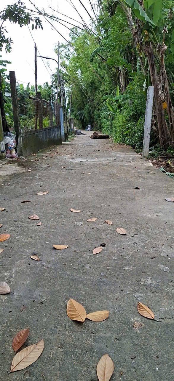 Đất nền Thạch Bồ, Hòa Tiến 134,5m² giá 1,2 tỷ - Cơ hội đầu tư hiếm có!