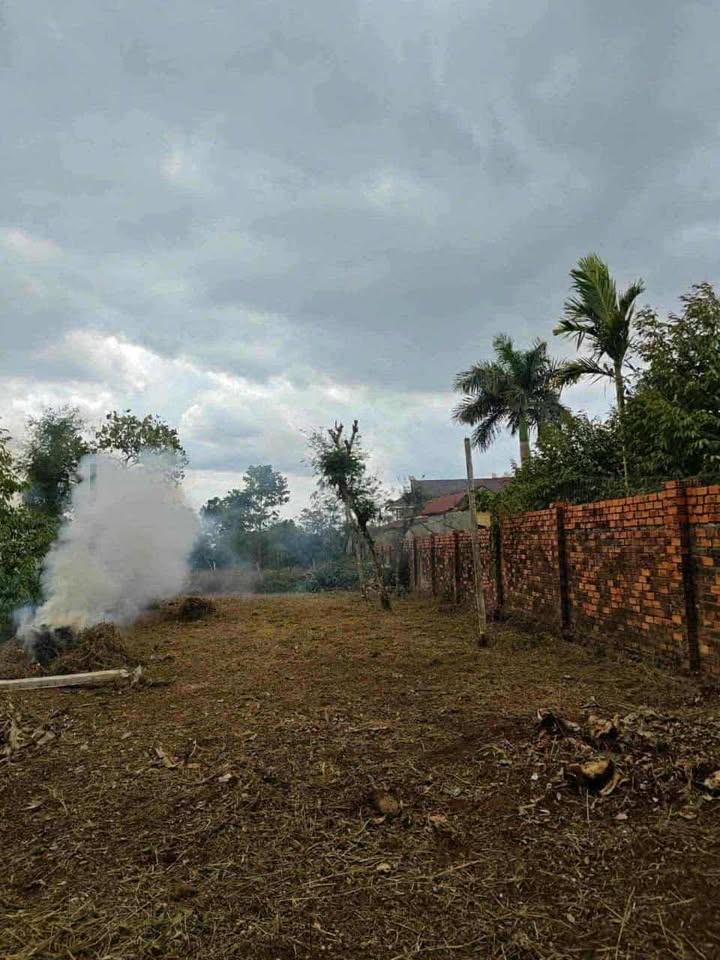 Đất thổ cư 310m² tại Tân An, Buôn Ma Thuột giá chỉ 980 triệu - Cơ hội đầu tư tuyệt vời!