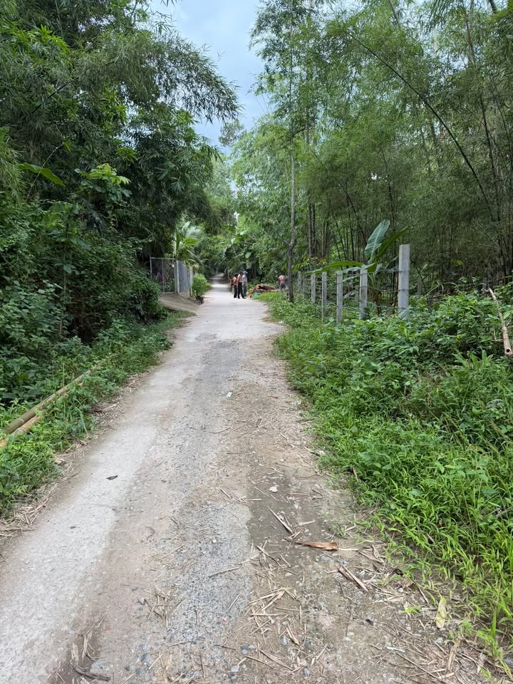 Đất nền 1000m² xã Núi Tô, Tri Tôn - Giá thỏa thuận cực hấp dẫn!