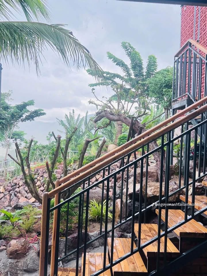 Lô đất Farmstay đẹp như Resort Diên Hòa 3359m² giá 9.741 tỷ - Đầu tư sinh lời ngay!