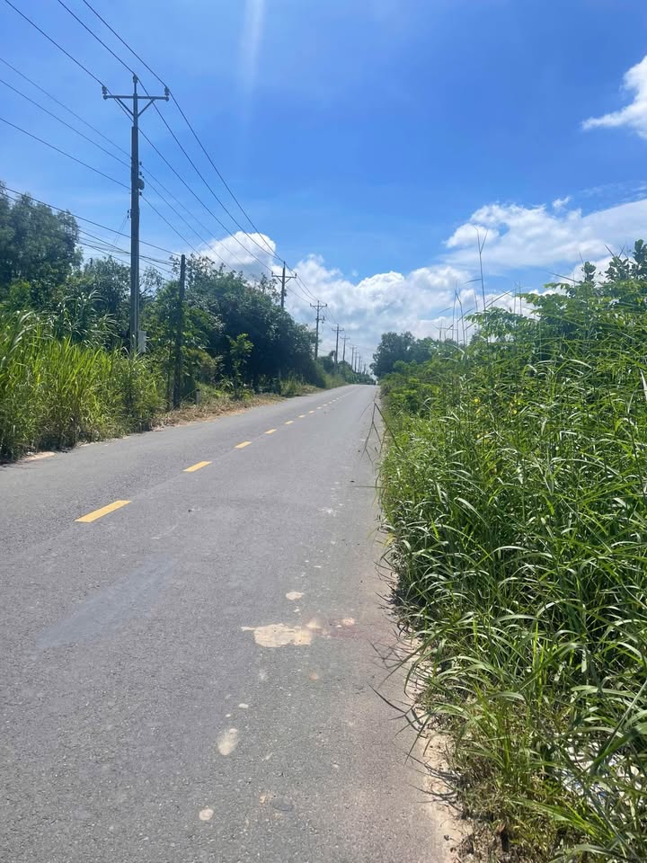 Đất nền mặt tiền nhựa 615m² Gò Dầu, Tây Ninh - Giá chỉ 7.795 tỷ!