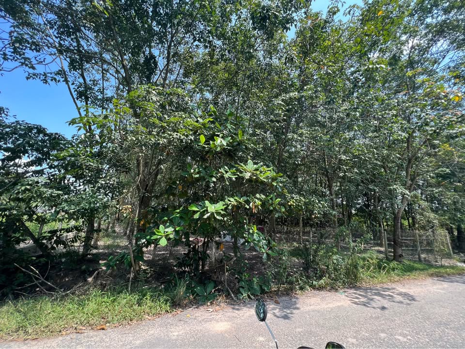 Đất nền chính chủ xã Dương Minh Châu, Tây Ninh 3000m² giá 3 tỷ - Đầu tư sinh lời ngay!