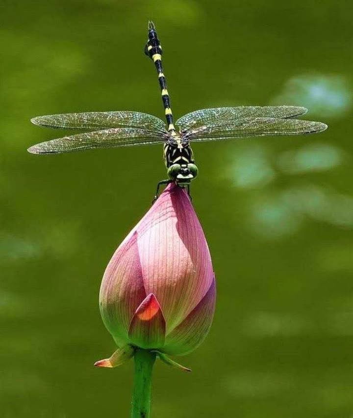 Lô đất An Dương Vương, Liên Nghĩa, 457m² - Bán gấp chỉ 2.9 tỷ!