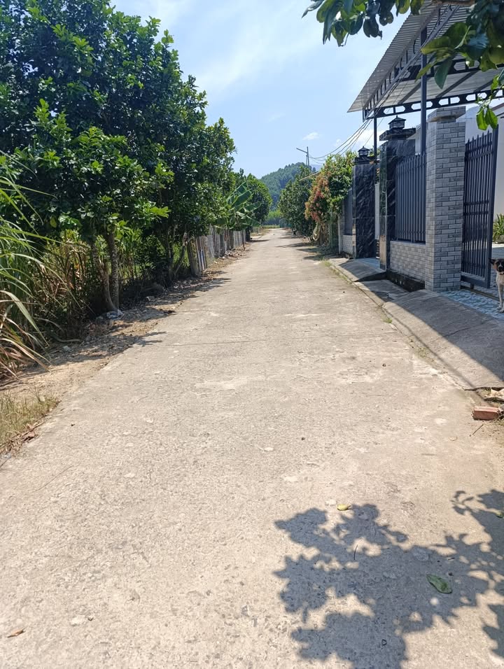 Đất nền Diên Lâm 2600m² giá thỏa thuận - Lô góc 2 mặt tiền đắc địa!