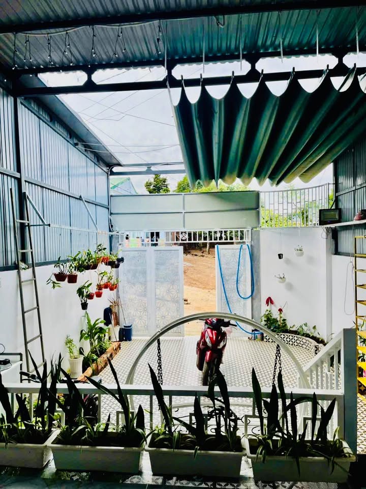 Nhà phố Buôn Ma Thuột 50m² giá 1.58 tỷ - Không thể bỏ qua!