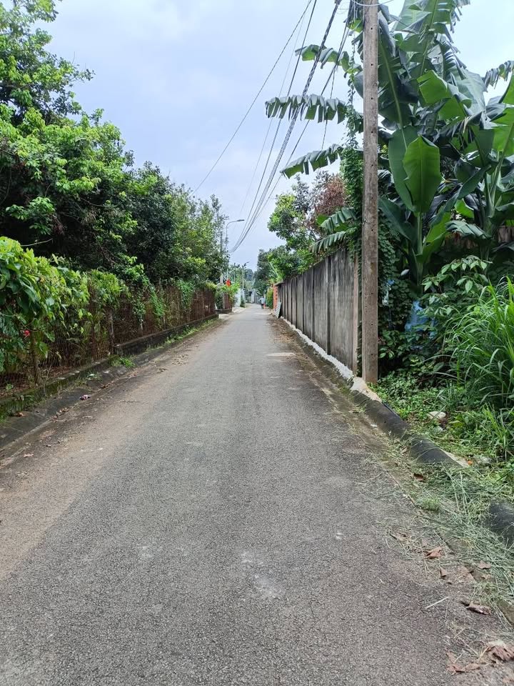 Đất nền mặt tiền nhựa Long Khánh 75m² giá 1.9 tỷ - Đầu tư sinh lời ngay!