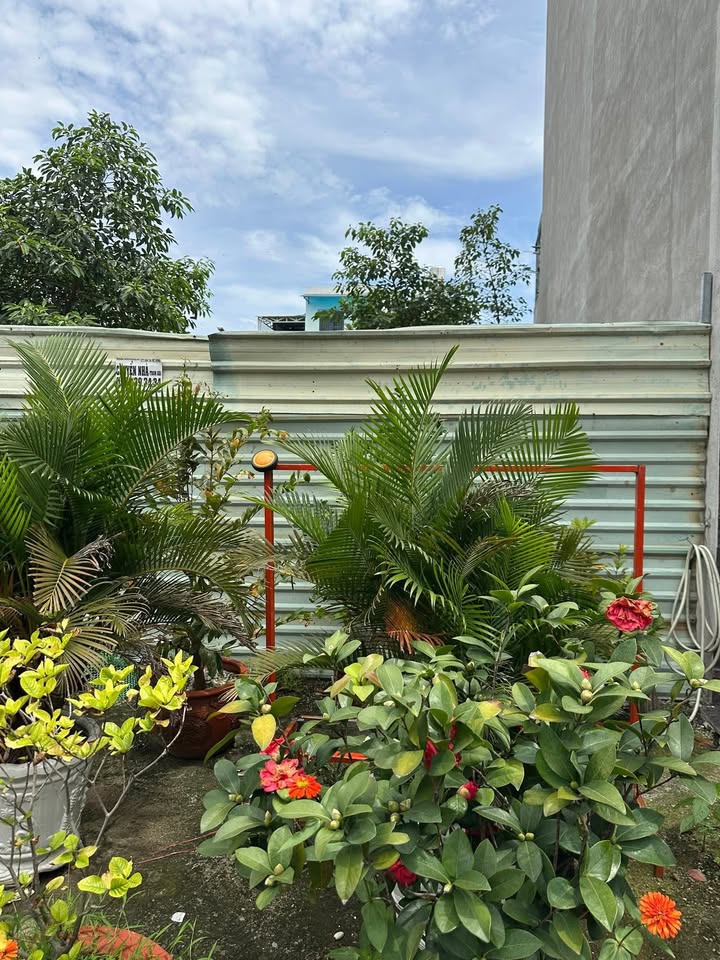 Đất dự án Tòa Xe 2, Đường Lý Thường Kiệt, Dĩ An 60m² giá chỉ 2.6 tỷ - Sổ đỏ hợp lệ!