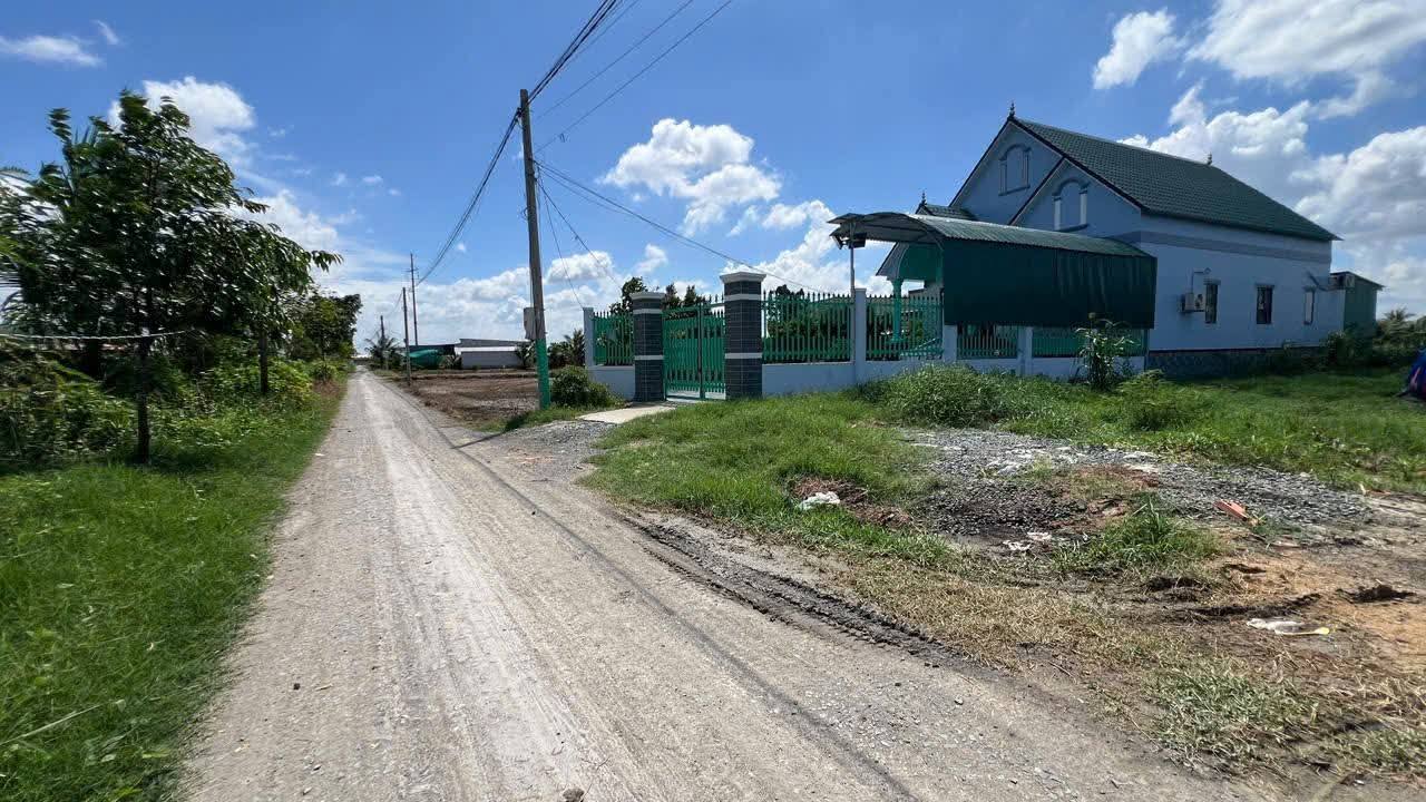 Đất nền 1500m² tại Tân Lân, Cần Đước - Giá 2.95 tỷ, phù hợp đầu tư!