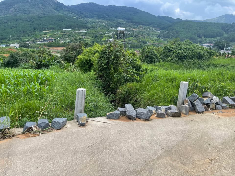 Đất Farm 6800m² Hiệp An, Đức Trọng giá 21.5 tỷ - Đầu tư lý tưởng!