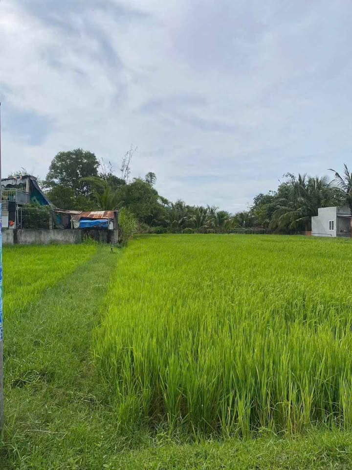 Đất nền xã Đức Hòa Thượng 315m² giá 1.25 tỷ - Sổ hồng riêng, thổ cư 100%!