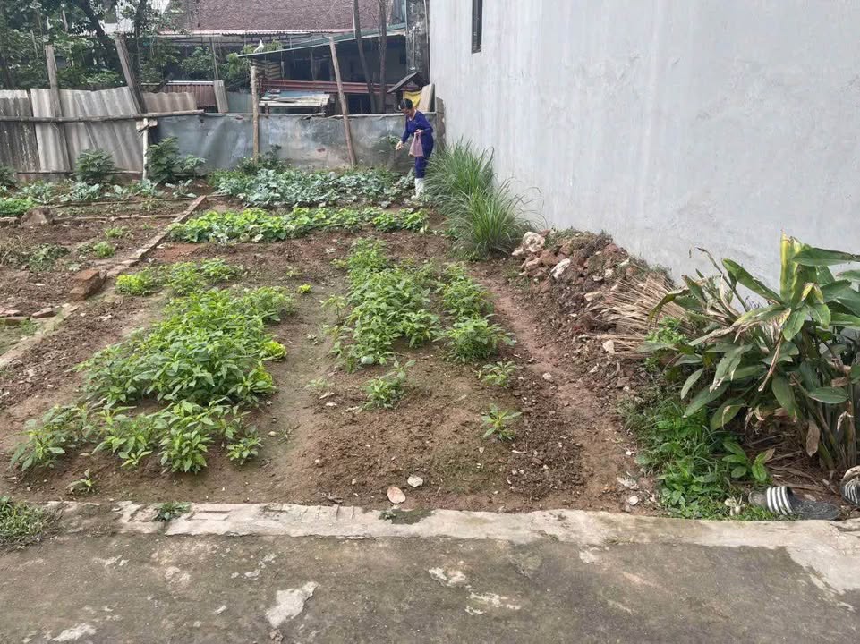 Đất nền Hành Lạc, Như Quỳnh 65m² - Vị trí trung tâm, thuận tiện kinh doanh!