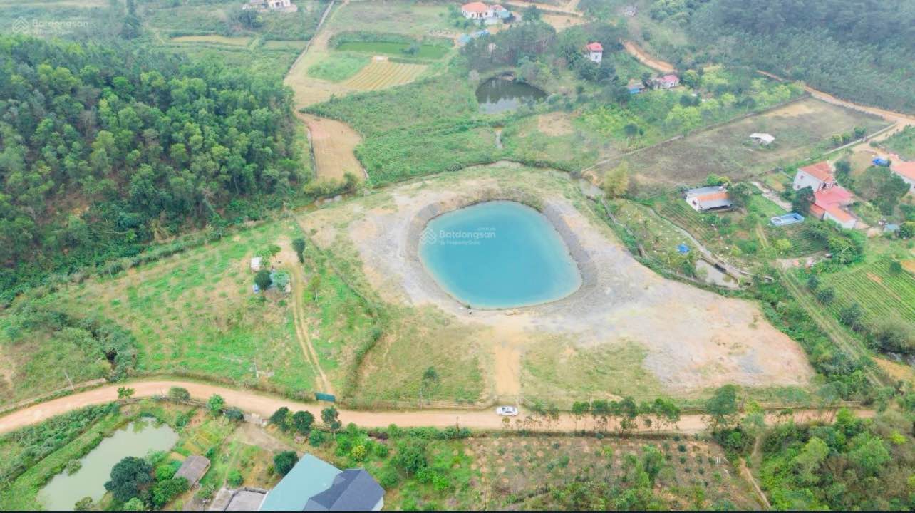 Đất nghỉ dưỡng Ngọc Thanh Phúc Yên 10.000m² giá thỏa thuận - Tiềm năng phát triển lớn!