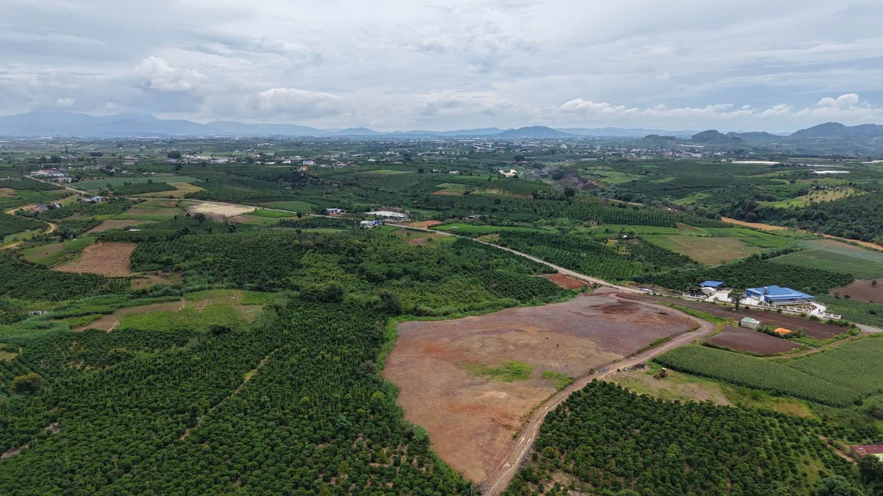 Đất thổ cư 1000m² tại Tân Hà, Lâm Hà chỉ 630 triệu - Sổ hồng chính chủ!