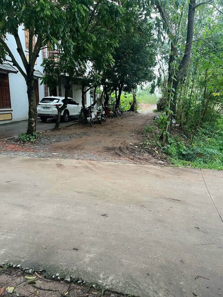 Đất nền Minh Xuân Tuyên Quang 96m² giá 2,xxx - Đầu tư sinh lời ngay!