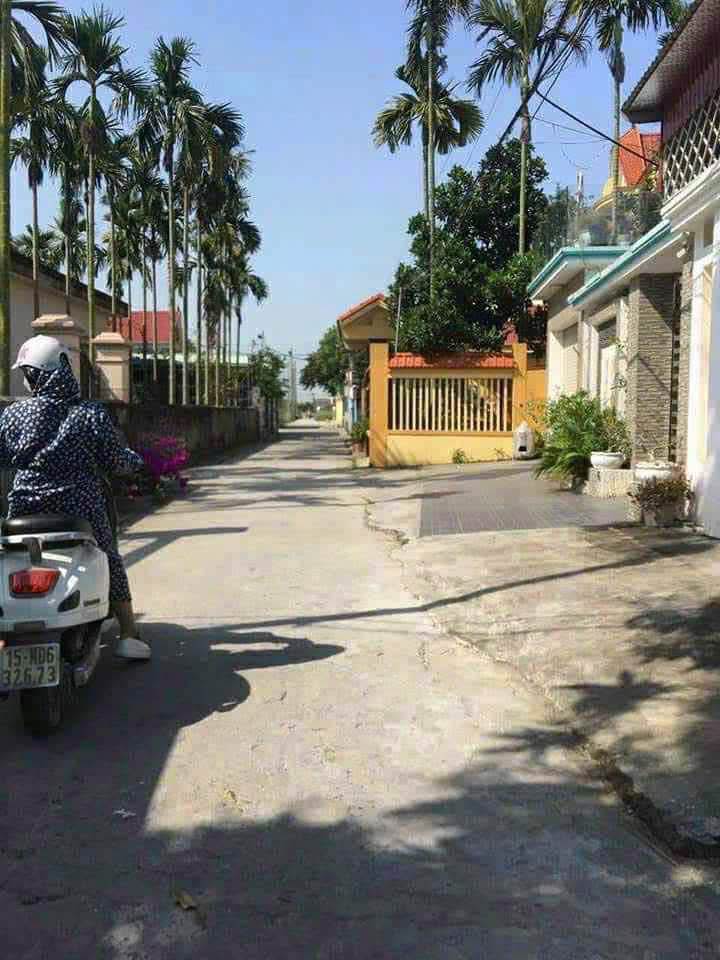 Đất nền Thanh Sơn, Kiến Thụy 150m² giá 2.4 tỷ - Cơ hội vàng cho nhà đầu tư!