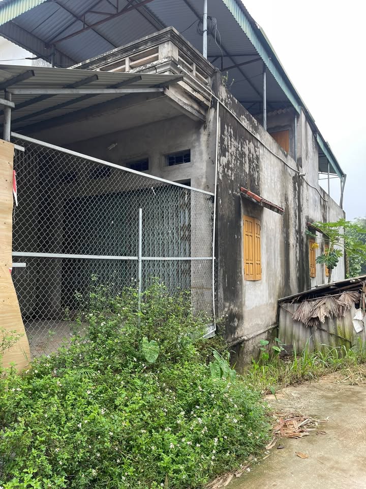 Đất nền Xuân Hòa, Lập Thạch 100m² giá 2 tỷ - Đầu tư sinh lời ngay!