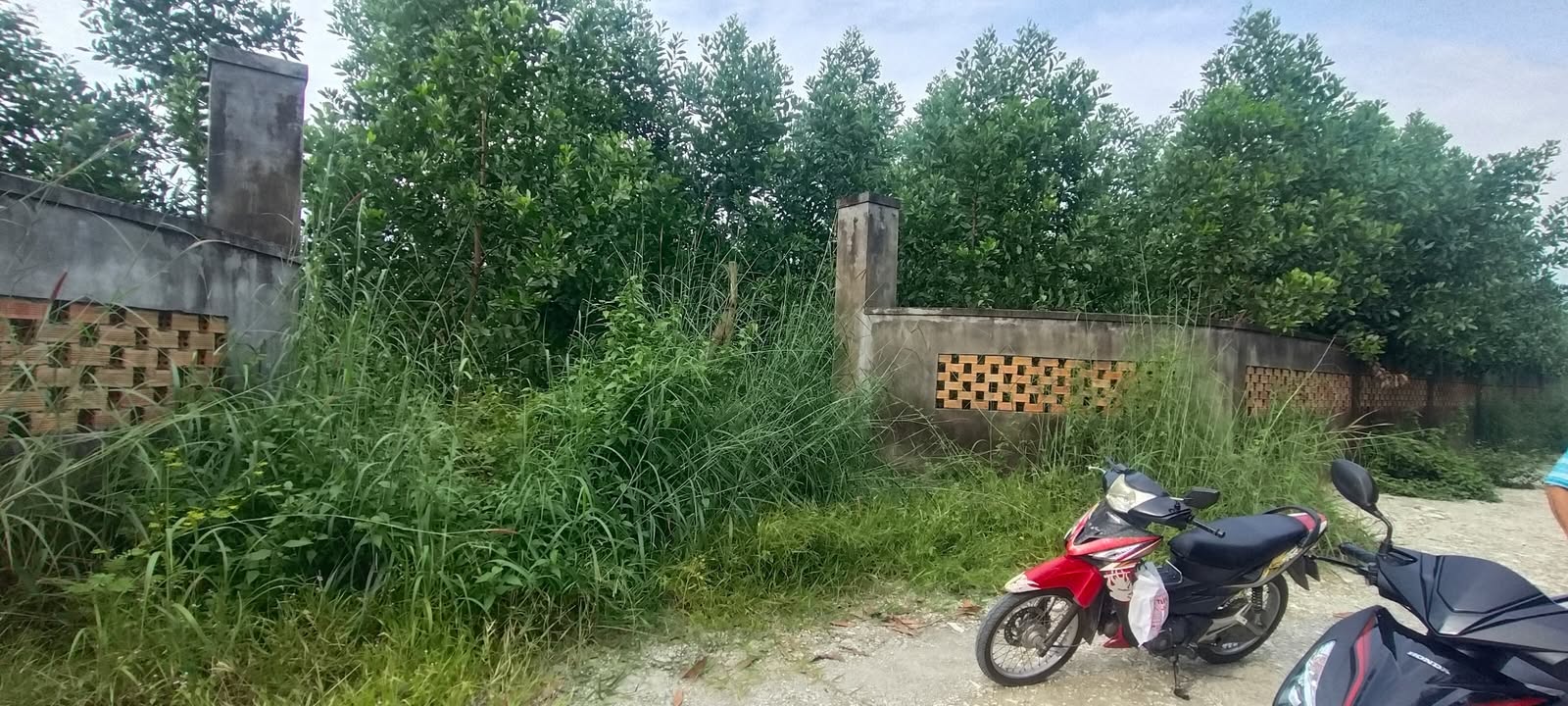 Đất nông nghiệp 5 sào Tân Bình, Vĩnh Cửu - Giá chỉ 14 tỷ - Đầu tư sinh lời cao!