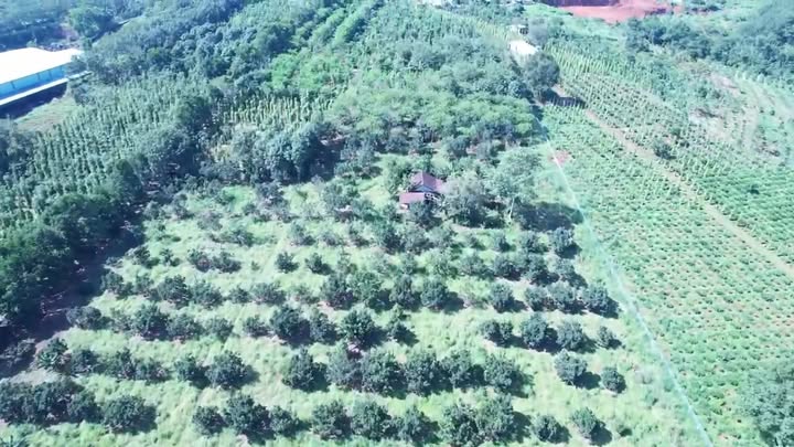 Đất nông nghiệp Đắk Wer 4ha giá 6.2 tỷ - Sổ đỏ chính chủ, mặt đường nhựa!