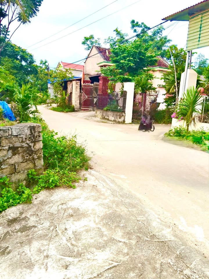 Lô đất góc 2 mặt tiền tại Yên Dương, Tam Đảo, 219m² chỉ 6xx triệu - Cơ hội đầu tư tuyệt vời!