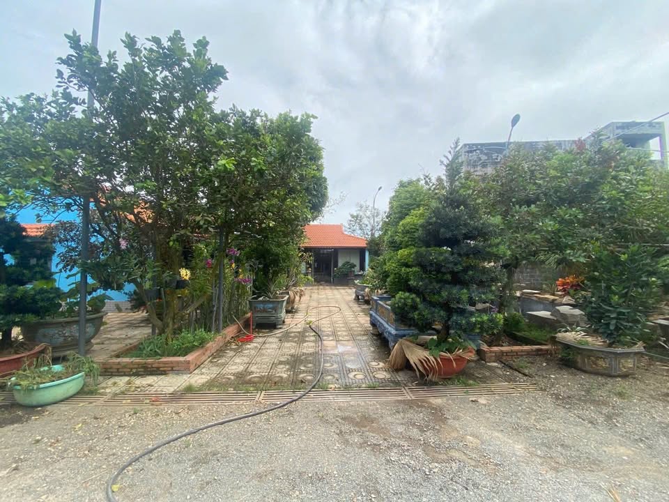 Bán gấp nhà vườn nghỉ dưỡng mặt tiền đường Số 52, phường Tam Long, 1975m² - Cơ hội đầu tư tuyệt vời!