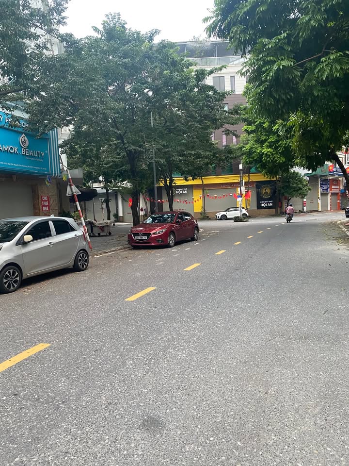 Nhà phân lô Nguyễn Sơn Long Biên 78m² giá 21.5 tỷ - Khu vực VIP, giao thông thuận tiện!