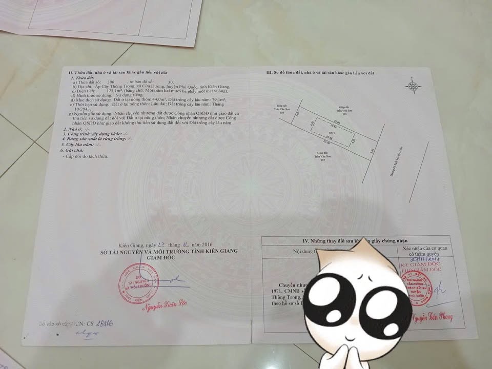 Đất 2 mặt tiền Lộ Chính Cây Thông Trong Phú Quốc 123m² - Cơ hội đầu tư hấp dẫn!