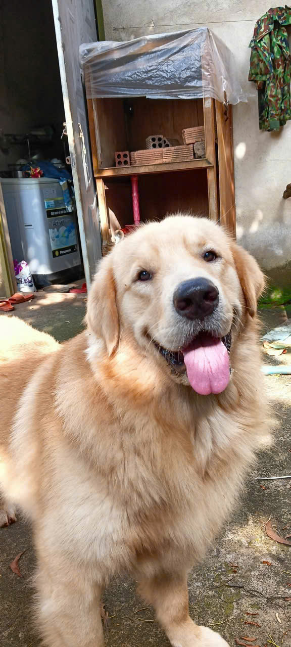 Đất nền Bảo Quang Long Khánh 250m² giá 290 triệu - Cơ hội đầu tư sinh lời!