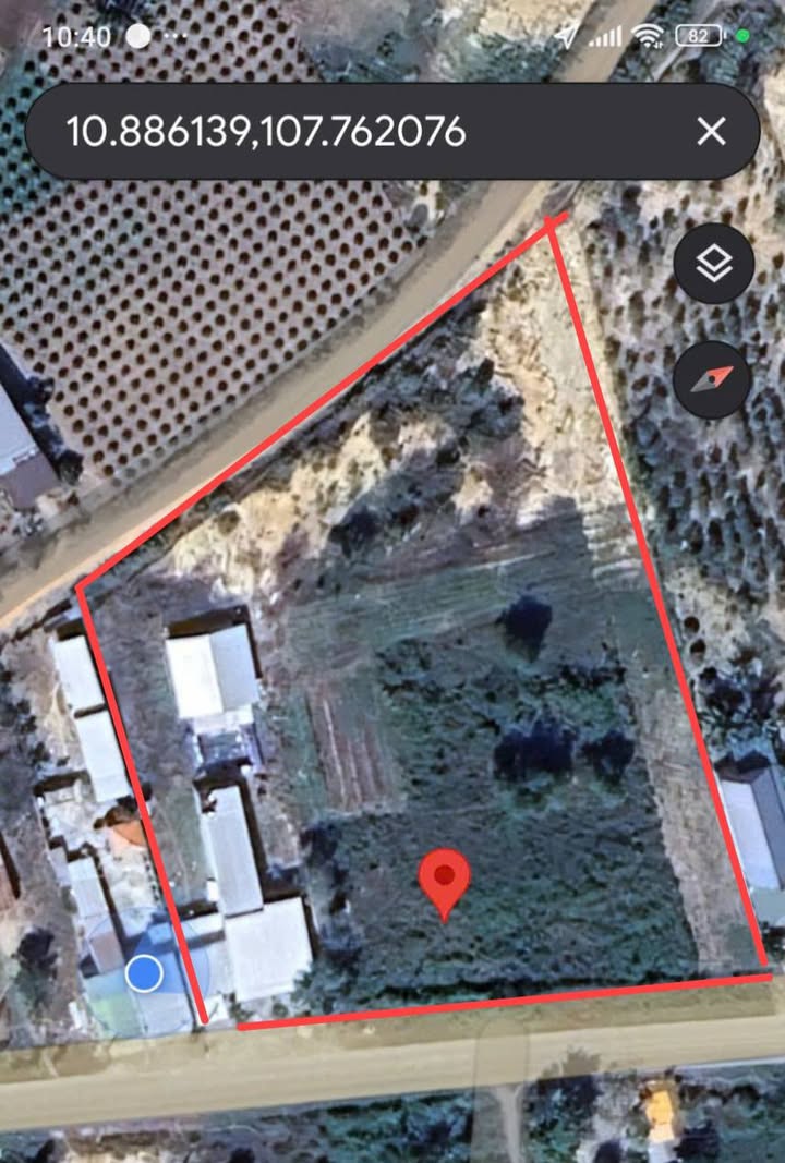 Đất mặt tiền Quốc lộ 55, xã Tân Lập, 7859m² - Cơ hội đầu tư lý tưởng!