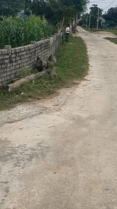 Lô đất Xóm 3, xã Lý Thành, 214m² - Chính chủ cần bán gấp!