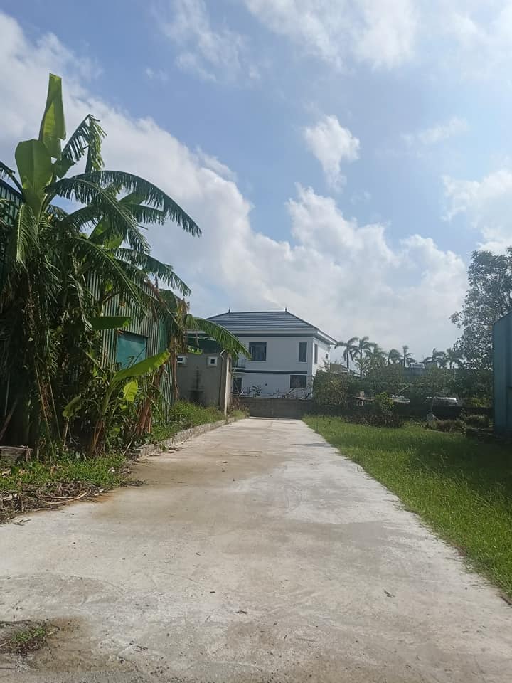 Đất nền Nghi Liên 69.4m² giá 1.3 tỷ - Địa điểm lý tưởng cho gia đình trẻ!