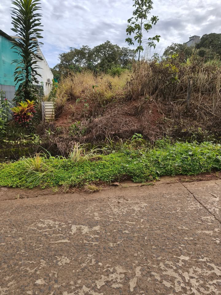 Đất nền Thọ Sơn Bù Đăng 1000m² giá 1.15 tỷ - Vị trí đông đúc, thuận tiện!