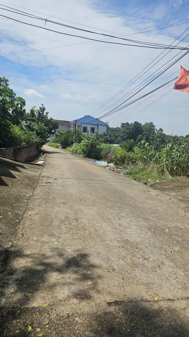 Đất nền Khu 4 Thanh Đình, Hy Cương 114m² giá 1.2 tỷ - Tiềm năng đầu tư lớn!