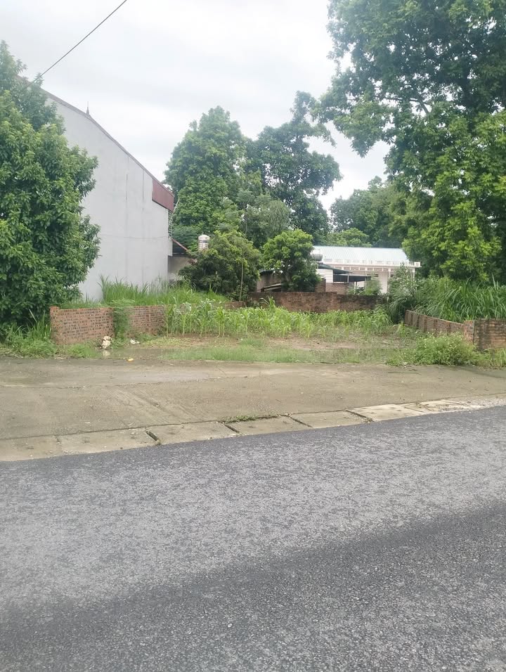 Đất nền Kim Đức Việt Trì 116m² giá 1.9 tỷ - Đầu tư sinh lời ngay!