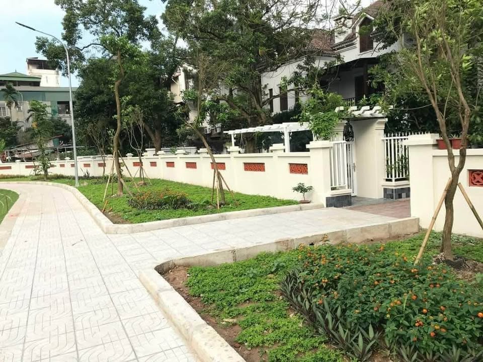 Biệt thự Tây Hồ 382m² giá 80 tỷ - Lô góc ô tô vào nhà, đầu tư triệu đô!