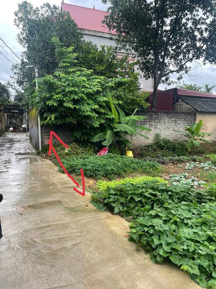 Đất nền Tự Lạn, Việt Yên 136m² giá chỉ 600 triệu - Cơ hội đầu tư tuyệt vời!