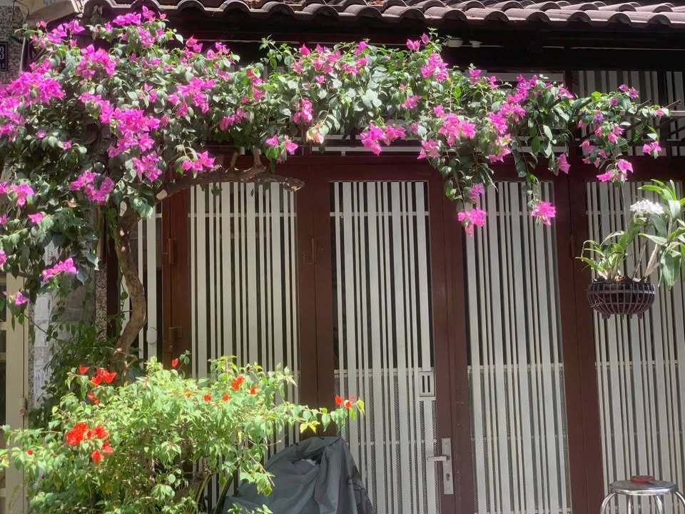 Nhà phố quận 10, Nguyễn Tri Phương 30m² giá 7 tỷ - Thiết kế hiện đại, pháp lý chuẩn!