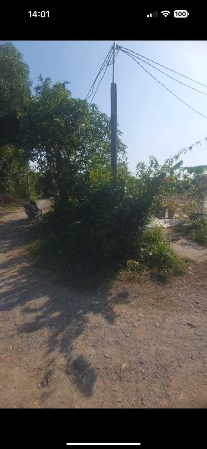 Đất nền Tân Mỹ Đức Hòa 1200m² giá 2.5 tỷ - Sổ đỏ chính chủ, đầu tư sinh lời!