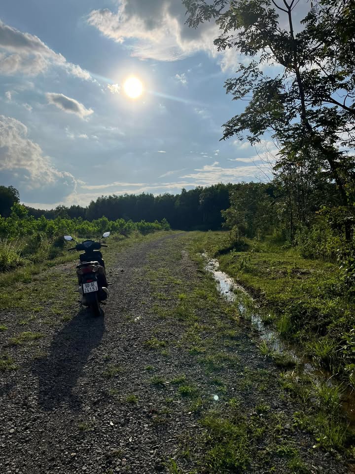 Đất nền Xuân Thành 3600m² giá 399 triệu - Sổ đỏ chính chủ, mặt tiền 19m