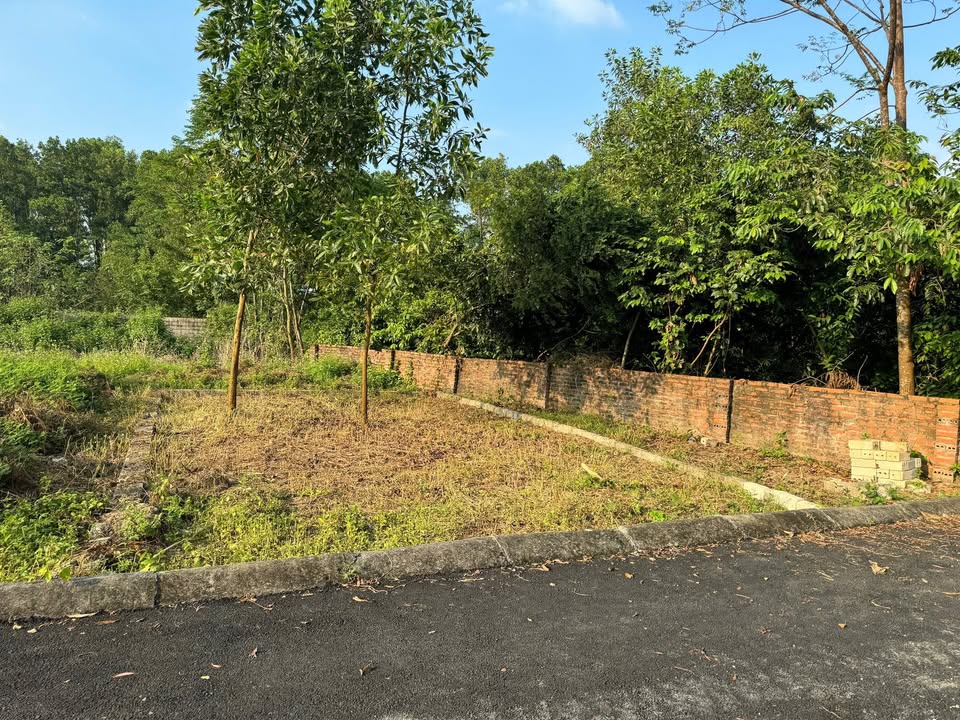 Đất nền Kim Bông Tân Xã 64m² giá 2 tỷ - Đầu tư sinh lời ngay!