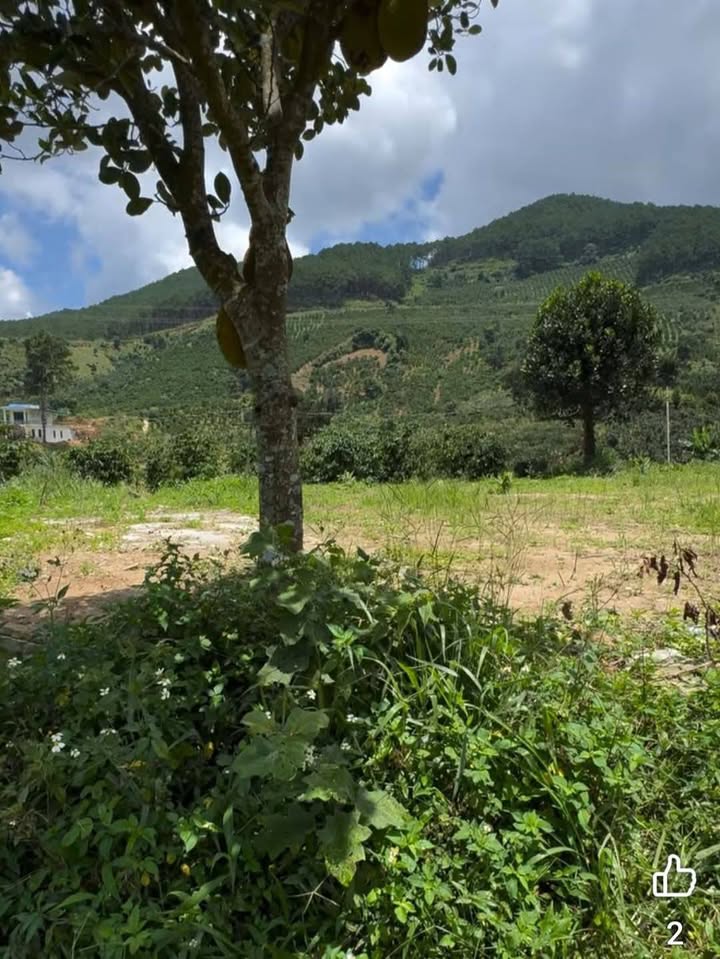 Đất nền 1,6 sào Phú Sơn, Lâm Hà chỉ 490 triệu - Sổ đỏ chính chủ!