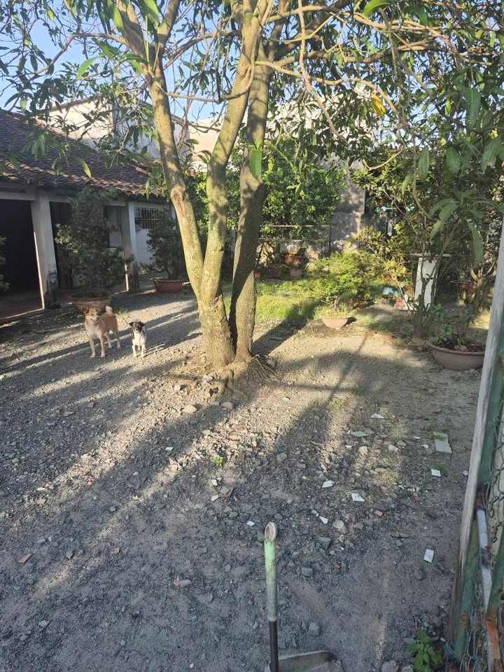 Đất nền khu vực Bình Mỹ Củ Chi 327m² giá 4.3 tỷ - Cơ hội đầu tư hấp dẫn!