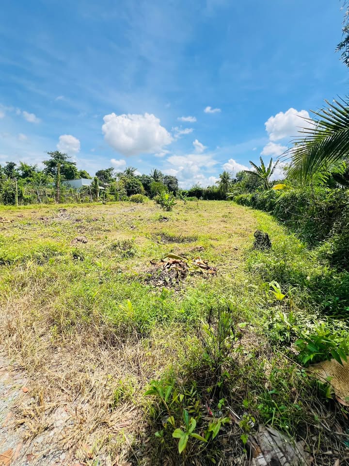 Đất nền Bình Thủy 395.5m² giá 679 triệu - Cơ hội đầu tư hấp dẫn!