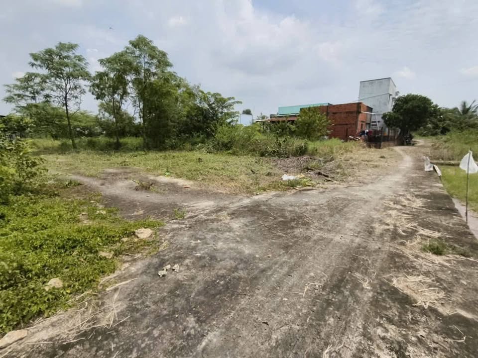 Đất thổ cư lô góc tại xã Phước Đông, Cần Đước 100m² - Cơ hội đầu tư tuyệt vời!