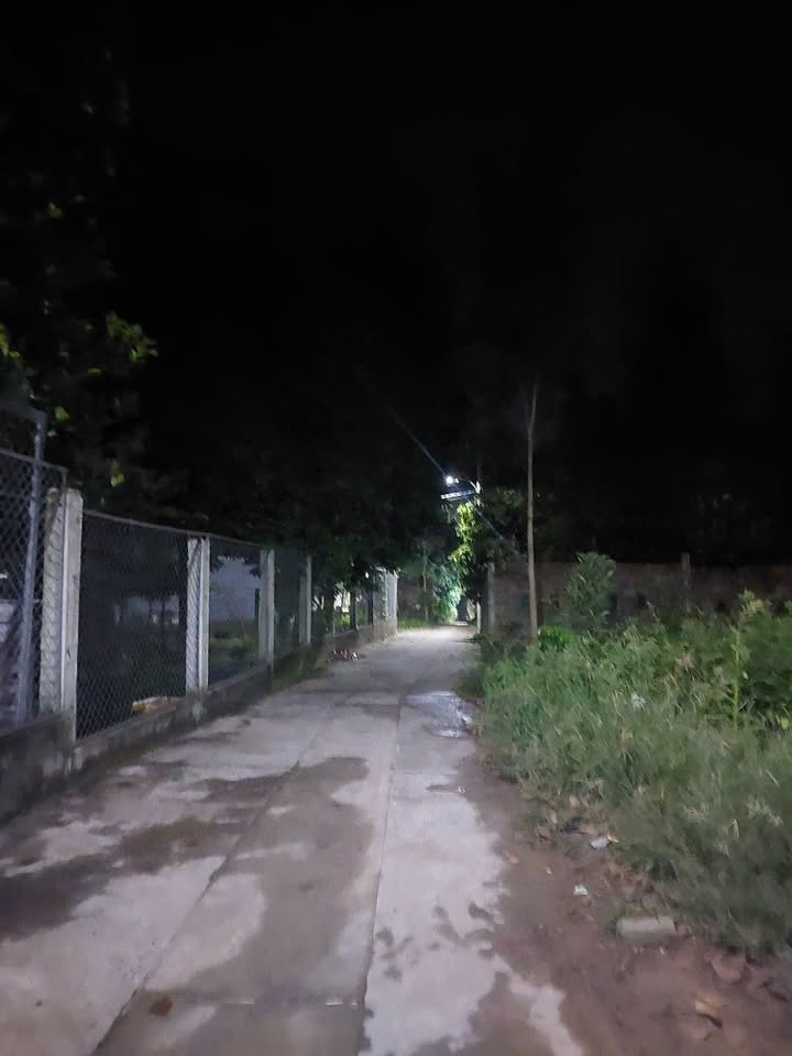 Lô đất Hòa Thọ Tây 115m² giá 1.9 tỷ - Ô tô đỗ cửa, cơ hội đầu tư tốt!