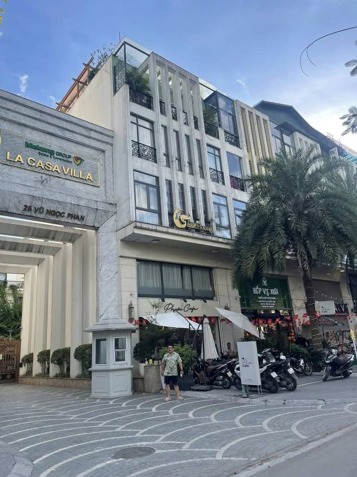 Đất vàng Đống Đa - Đường Vũ Ngọc Phan 145m² giá 55 tỷ - Kinh doanh cực đỉnh!